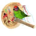 Goldie's Lorikeet Toys