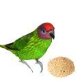 Goldie's Lorikeet Treats from Parrot Essentials