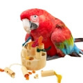 Green Winged Macaw Toys