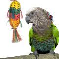 Hawk Headed Parrot Toys