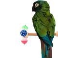 Illiger's Macaw Toys
