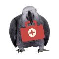 Illness & Emergency Supplements for Parrots