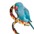 Indian Ringneck Parakeet Toys