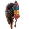 Kaka Parrot Toys