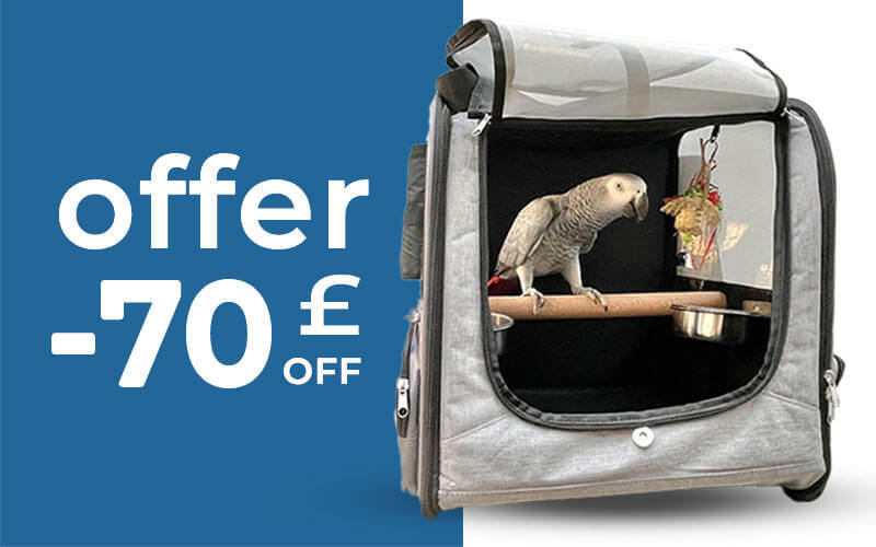 70% off cases