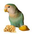 Lilian's Lovebird Food