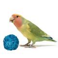 Lilian's Lovebird Toys