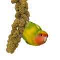 Lilian's Lovebird Treats