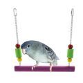 Lineolated Parakeet Parrot Accessories