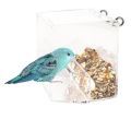 Lineolated Parakeet Parrot Food