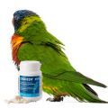 Supplements for Lorikeets