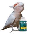 Major Mitchell's Cockatoo Supplements