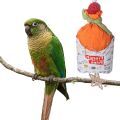 Maroon Bellied Conure Toys