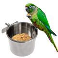 Maroon Bellied Conure Treats