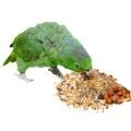 Mealy Amazon Food