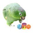 Mealy Amazon Toys