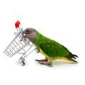 Meyer's and Senegal Parrot Toys