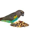 Meyer's Parrot Food
