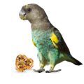 Meyer's Parrot Treats