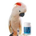 Moluccan Cockatoo Supplements