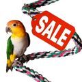 Parrot Essentials Monthly Deals
