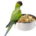 Nanday Conure Food