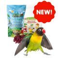 New Parrot Food & Treats