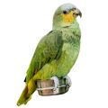 Orange Winged Amazon Cages