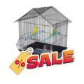 Sale on Parrot Cages