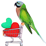 Parrot Essentials Valentine's Parrot Toys & Treats