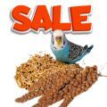 Parrot Food and Treats on Sale