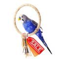 Parrot Perches and Bird Swings Sale