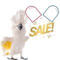 Parrot Supplements Sale