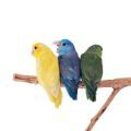 Accessories for Parrotlets