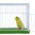 Cages for Parrotlet