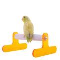 Stands for Parrotlets