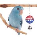 Toys for Parrotlets