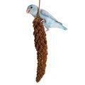 Treats for Parrotlet