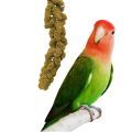 Peach Faced Lovebird Treats