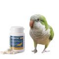Supplements for Quaker Parrots