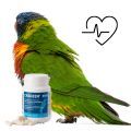 Rainbow Lorikeet Supplements