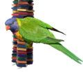 Rainbow Lorikeet Toys