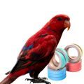 Red Lory Toys