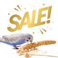 Sale on Parrot, Bird, Parakeets & Budgie Treats