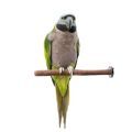 Sanded Nail-Trimming Parrot Perches