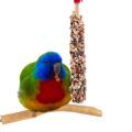 Scarlet Chested Parakeet Parrot Treats
