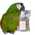 Severe Macaw Food