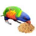 Swainson's Lorikeet Treats