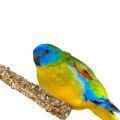 Turquoise Parakeet Parrot Treats