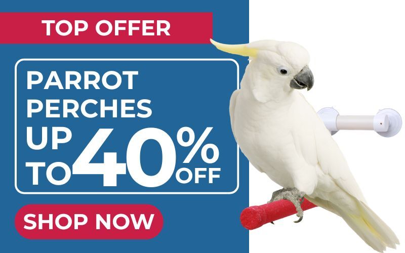 up to 40% off on parrot perches and swings